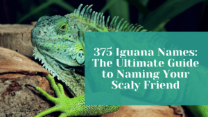 Read more about the article 350+ Iguana Names: The Ultimate Guide to Naming Your Scaly Friend + Generator