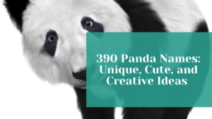 Read more about the article 390 Panda Names: Unique, Cute, and Creative Ideas + Generator