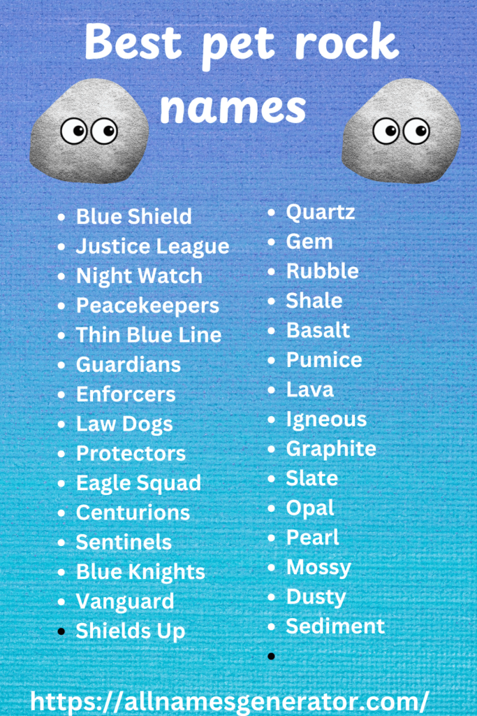 Best pet rock names infographic