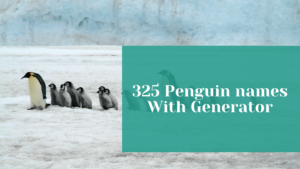 Read more about the article 325+ Best & Interesting Penguin names With Generator