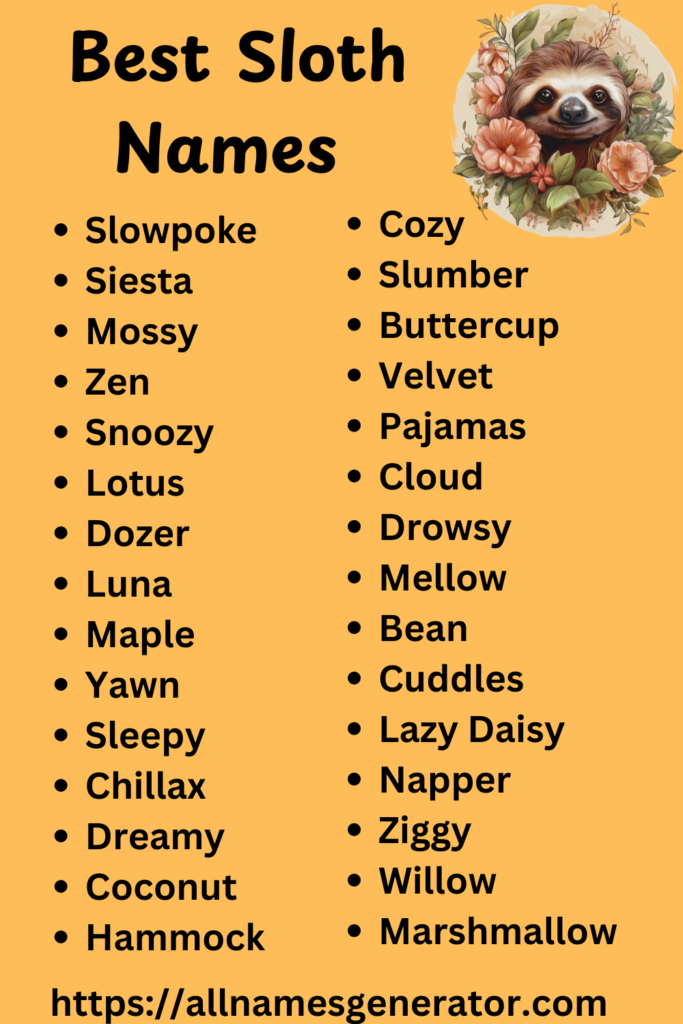 Best Sloth Names infographic