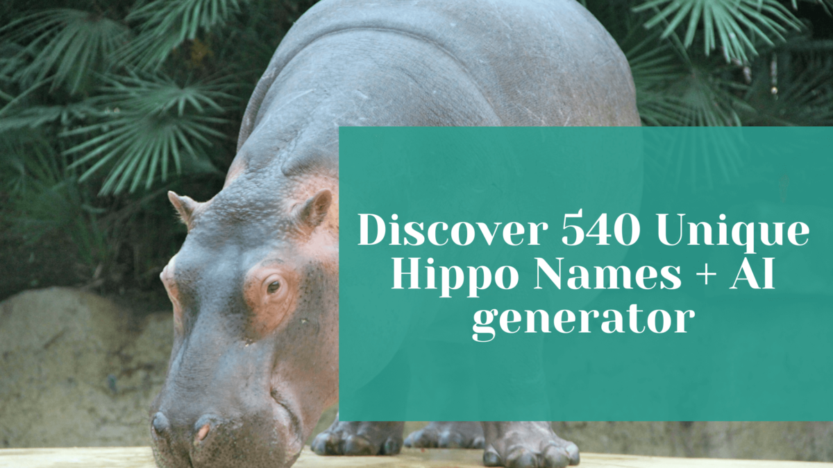 You are currently viewing Discover 540+ Unique Hippo Names + AI generator