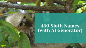 Read more about the article 450 Interesting Sloth Names (with Generator)