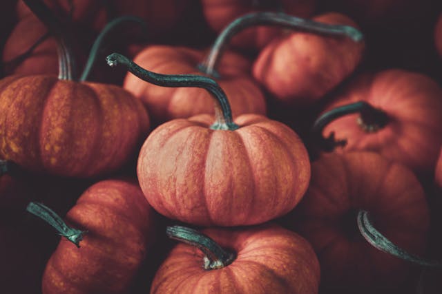 Pumpkin Names: