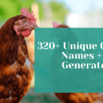 320+ Unique Chicken Names + AI Generator 