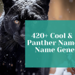 420+ Cool & Funny Panther Names With Generator