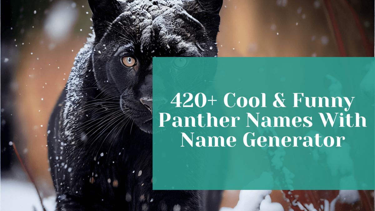 You are currently viewing 420+ Cool & Funny Panther Names With Generator