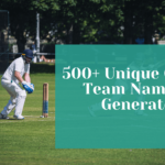 500+ Unique Cricket Team Names In 2024 + Generator