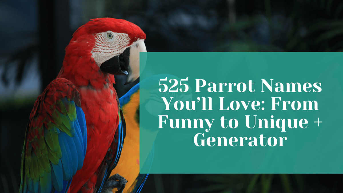 Read more about the article 525 Parrot Names You’ll Love: From Funny to Unique + Generator