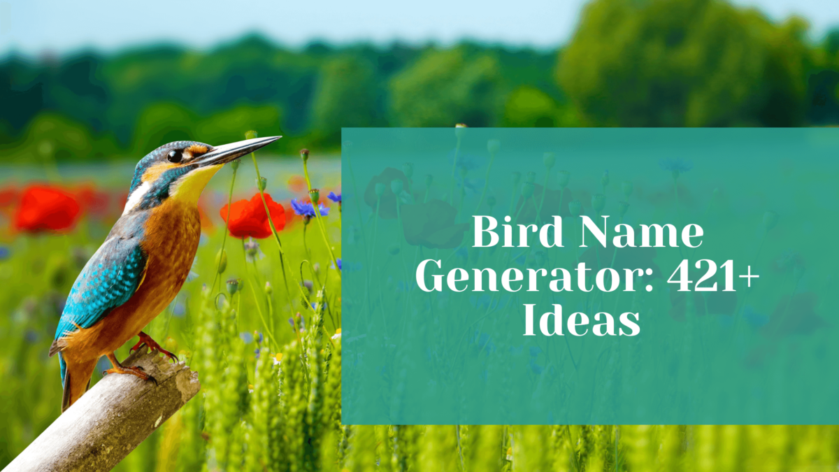 Read more about the article Bird Name Generator: 421+ Unique Bird Name Ideas 