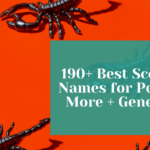 190+ Best Scorpion Names for Pets and More + Generator