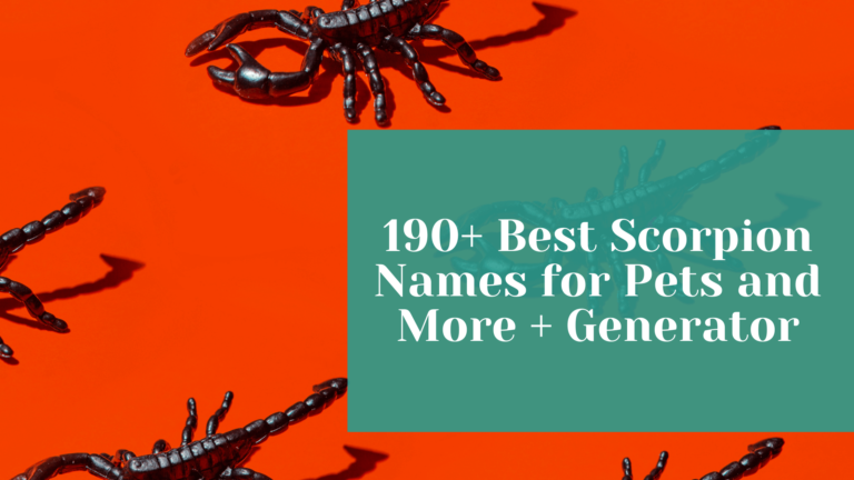 Scorpion Names